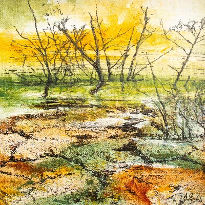 Beauty of fragile nature 10